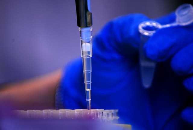 Centro Risorse Biologiche - IOR