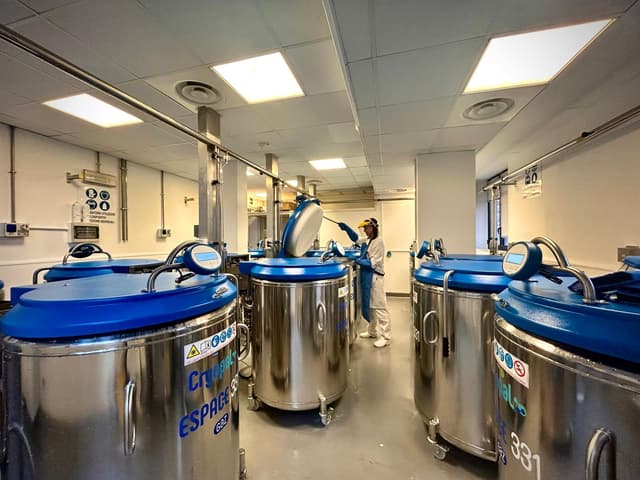 The BMS Biobank collects, preserves, processes and hands out samples to the scientific community (University Hospital Companies, Research Institutes, Universities, pharmaceutical and biotechnology industries etc.) to develop studies based on what is agreed in the informed consent, in accordance with the Corporate Organisational Document DOA11 (Del.D.G. n°267 of 27-03-2020)