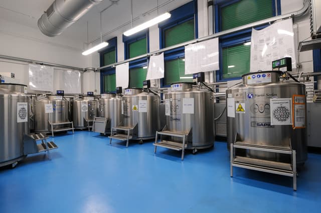 BVR cryogenic facility